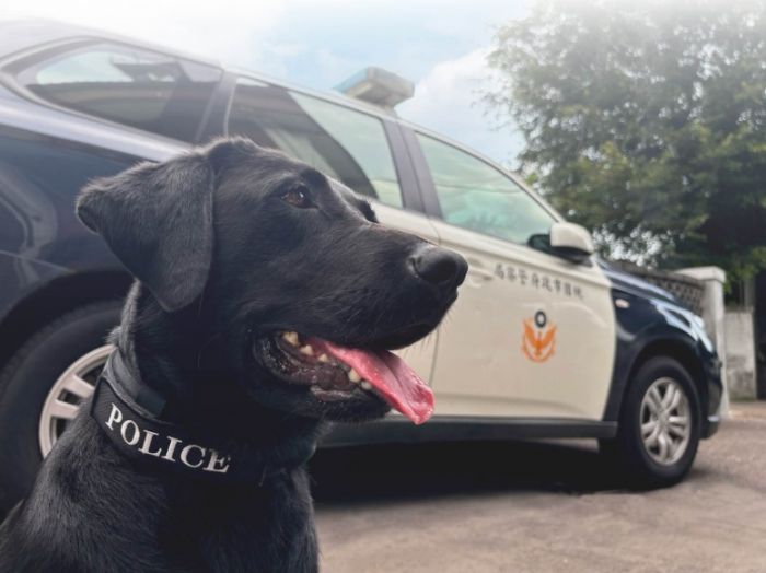 桃園市攜手守護警犬與消防犬健康,打造溫馨安心的執勤環境 桃園市攜手守護警犬與消防犬健康,打造溫馨安心的執勤環境
